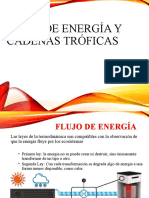 Flujo de Energía y Cadenas Alimentarias