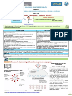 Dmpa 8 4to Área Biología Coar Arequipa