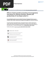 2020 Effects of Plant Growth Promoting Microorganisms