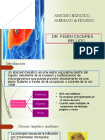 Absceso Hepático Amibiano Piógeno