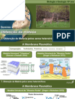 Obtenção de Matéria Seres Heterotróficos PDF