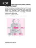 Los Principales Cambios Fisiológicos y Características Sexuales Que Aparecen en La Adolescencia para Niños en Contraste Con Los de Las Niñas