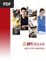 BizLink Manual