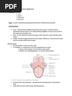 Tongue (Including Clinical Significance)