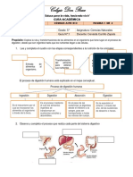 GUÍA #1 Etapas de La Nutrición - La Alimentación.