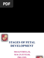 Stages of Fetal Development Final