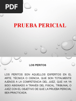 Diapositivas Prueba Pericial