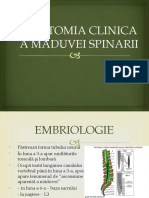 Anatomia Clinica A Maduvei Spinarii