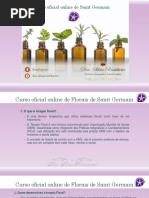 Apresentação Curso Oficial Online Florais de Saint Germain Prof. Silvia Rischbieter