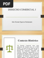 Derecho Comercial I