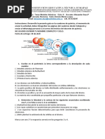 Guía 1 Modelos Atómicos Ciclo V