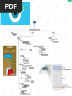 Cornea Mapa Mental