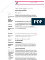 La Photosynthèse