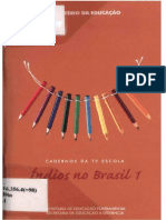 Índios No Brasil PDF