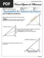 Guia de Trigonometria de Triangulo Rectangulo