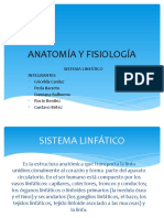 Anatomía y Fisiología