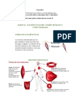 3cer Taller Grado 8°