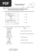 Prueba Coeficiente 2 Ciencias Naturales 1A