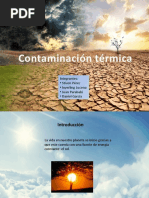 Contaminacion Ambiental Final