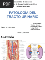 Patologia Tracto Urinario CRP