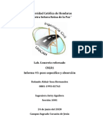 Informe de Peso Especifico y Absorcion de Los Agregados en Una Mezcla