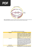 Ciclo Azufre y Nitrógeno