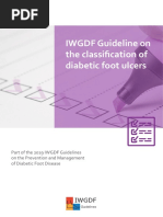 IWGDF Guideline On The Classification of Diabetic Foot Ulcers