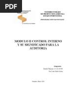 Control Interno y Su Significado para La Auditoria Modulo Ii