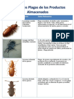 Principales Plagas de Productos Almacenados