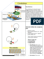 Cytoskeleton:: Network Within The Cytoplasm That