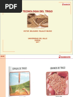 3 Tecnología Del Trigo - Obtención y Control de Calidad de Harina