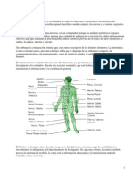 Partes y Funciones Sistema Nervioso