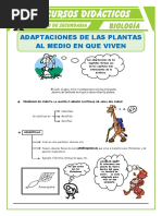 Adaptaciones de Las Plantas para Segundo de Secundaria