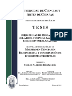 Tepezcohuite (Propagacion) PDF