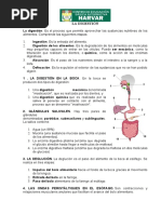 Practica #11 - La Digestión