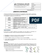 Reino Monera: Reino Principales Características Ejemplos de Organismos Mónera Protistas