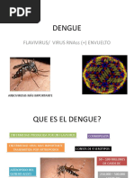 DENGUE Teoria