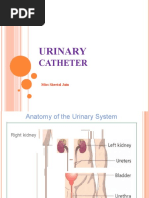 Urinary: Catheter