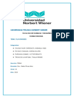 Informe N 07 Farmaconogsia de Flavonoides