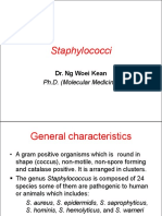 3.1 Staphylococci PDF