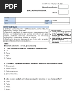 Evaluacion Ciencias Naturales Diagnostico 4to