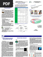 TRIPTICO Portafolio Abril 2020