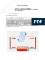 Induccion Magnetica