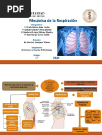 Mecanica Respiratoria