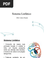 Sistema Linfático