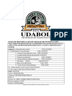 Ficha de Identificación de Trabajo de Investigación