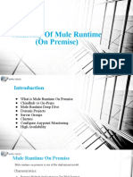 Anotomy of Mule RunTime (On Premise)