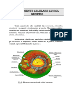 Elemente Celulare Cu Rol Genetic 1