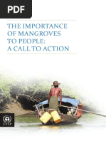 Theimportanceofmangrovestopeople Acalltoaction