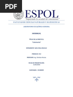 Informe1Selim PDF